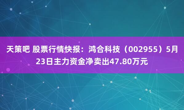 天策吧 股票行情快报：鸿合科技（002955）5月23日主力资金净卖出47.80万元