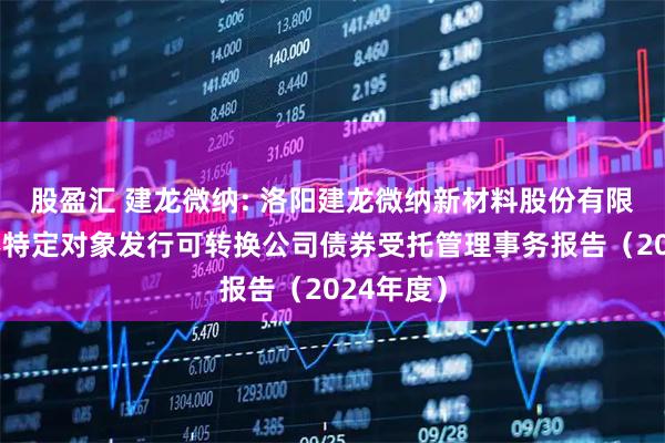 股盈汇 建龙微纳: 洛阳建龙微纳新材料股份有限公司向不特定对象发行可转换公司债券受托管理事务报告（2024年度）