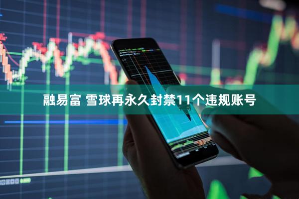 融易富 雪球再永久封禁11个违规账号