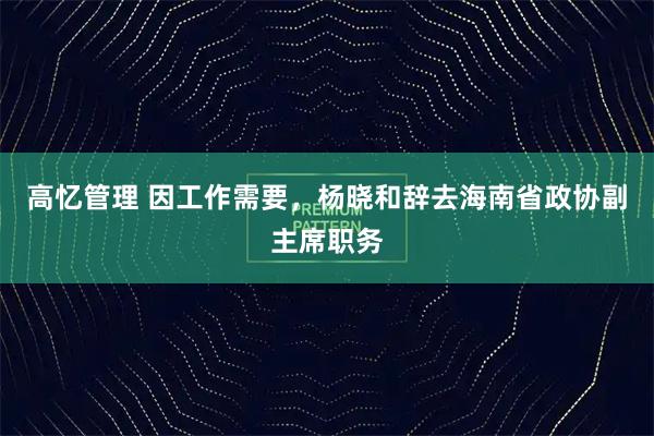 高忆管理 因工作需要，杨晓和辞去海南省政协副主席职务